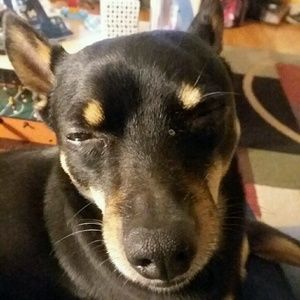 Meet your Posher, April